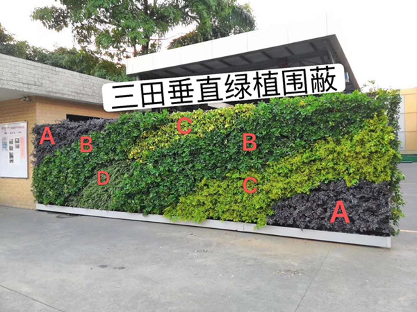 綠植圍敝圍墻