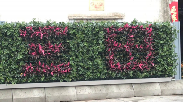 綠植圍敝圍墻