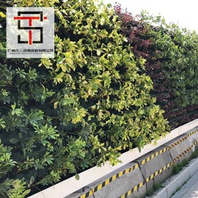 環(huán)保綠植圍擋應(yīng)用在道路施工現(xiàn)場(chǎng)
