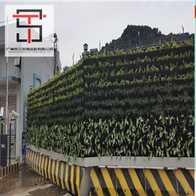 市政工程使用三田綠植圍擋產品
