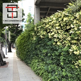 垂直綠植圍擋應(yīng)用在小區(qū)綠化改造項(xiàng)目