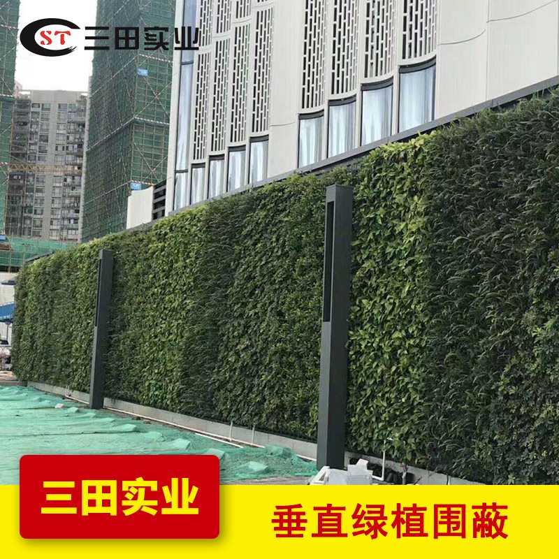 綠植圍擋是私人宅院的亮麗風景