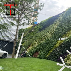 室內綠化綠植圍擋 