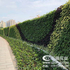 和一般圍擋相比，綠植圍擋具有哪些優(yōu)勢(shì)？